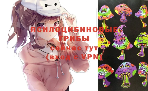 экстази Арсеньев