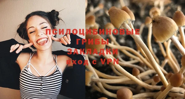 экстази Арсеньев