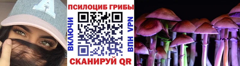 Псилоцибиновые грибы мицелий  Кукмор 